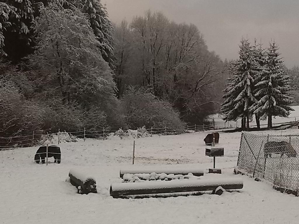 Muehlenhof Stadtkyll Exteriör bild